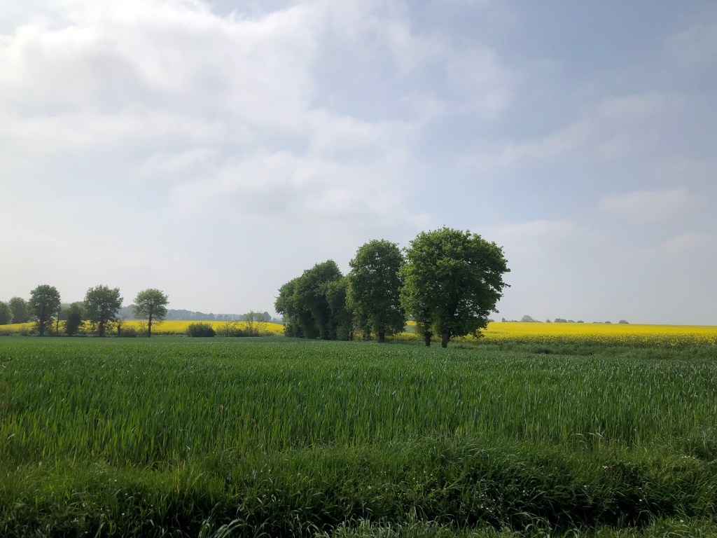 France et Suisse 2022 – Day 3: Landujan to Ploermel, 62k, 520m&nbsp;climbed