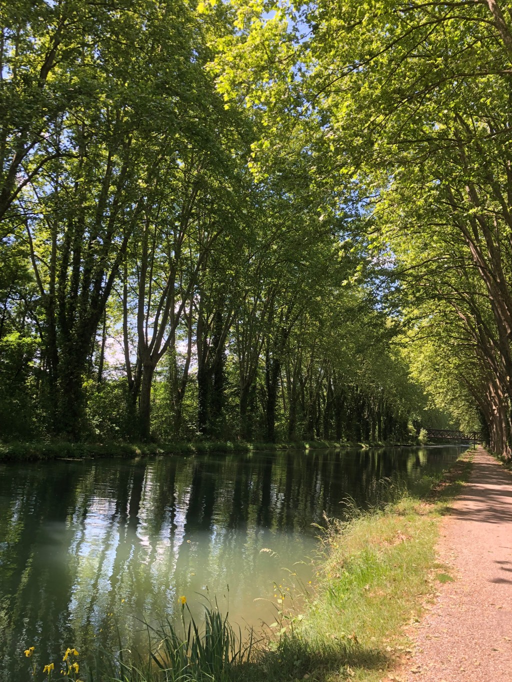 France et Suisse 2022 – Day 12: Sainte Radegonde (Dordogne) to Damazan 76.6k, 1071m&nbsp;climbed