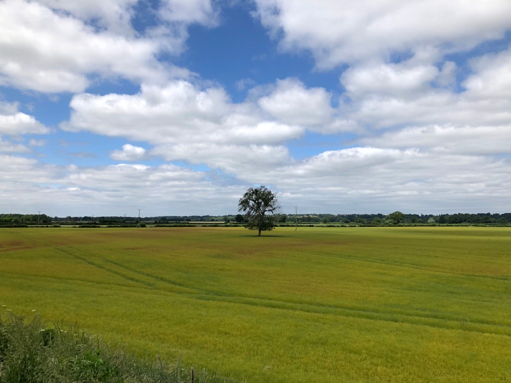 France et Suisse 2022 – Leg 3 Day 5: Back to the Loire – Paray le Monial to Decize, 95.5k, 486m&nbsp;climbed