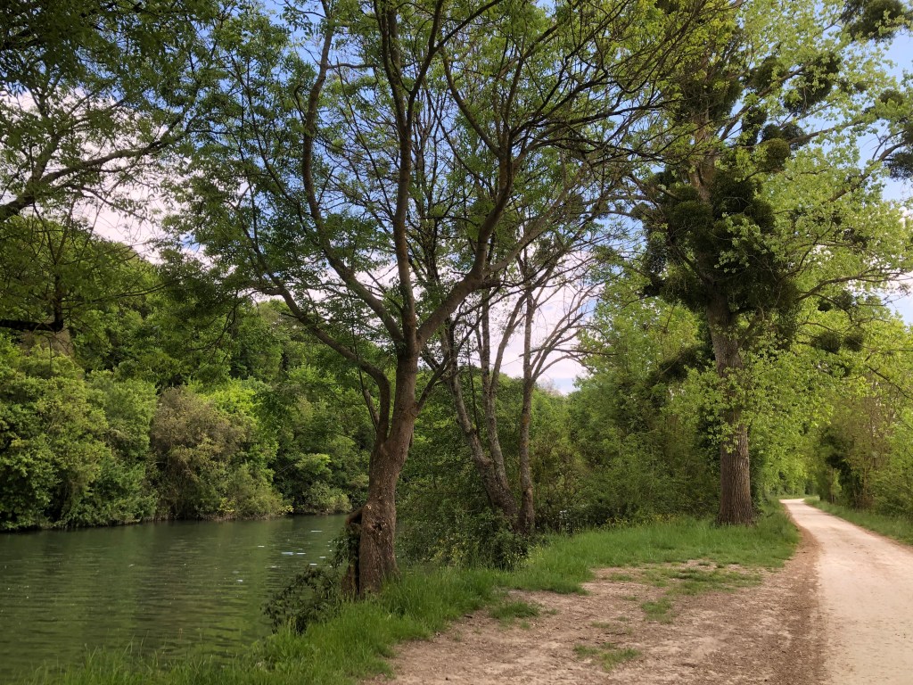 France et Suisse 2022 – Day 9: La Rochelle to Saintes, 83k 523m&nbsp;climbed