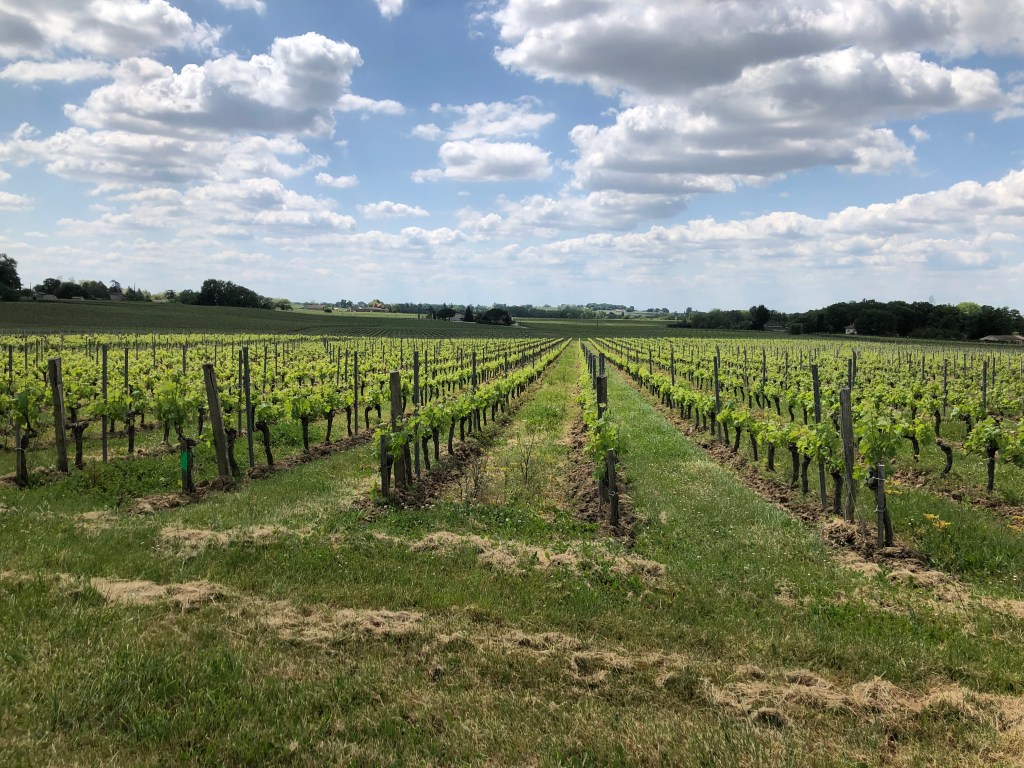 France et Suisse 2022 – Day 11: Clérac to Sainte Radegonde (Dordogne): 67.5k, 644m&nbsp;climbed