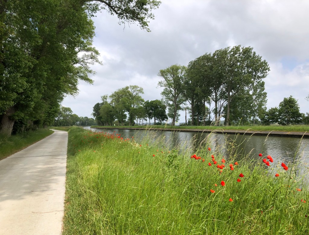 France, Belgium, NL End to End 2023 – Day 20 (part 2): De Panne to Maldegem – 89.2k, 423m&nbsp;climbed