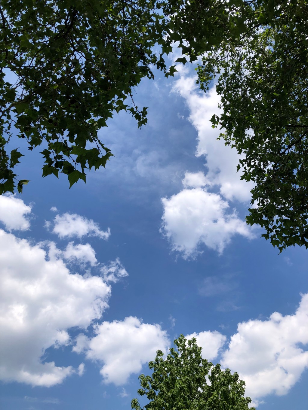 France, Belgium, NL End to End 2023 – Dutch ideas to emulate (besides investing in&nbsp;cycling)