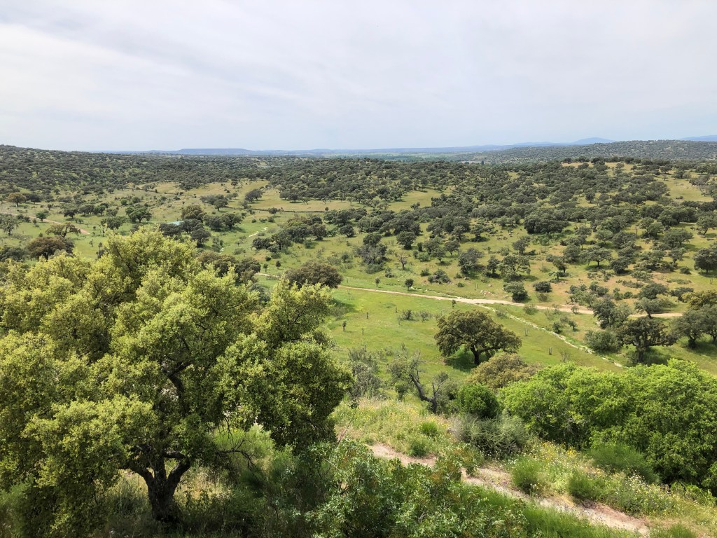 Béjar to Plasencia – freewheeling into Extremadura, 64.5k, 495m&nbsp;climbed