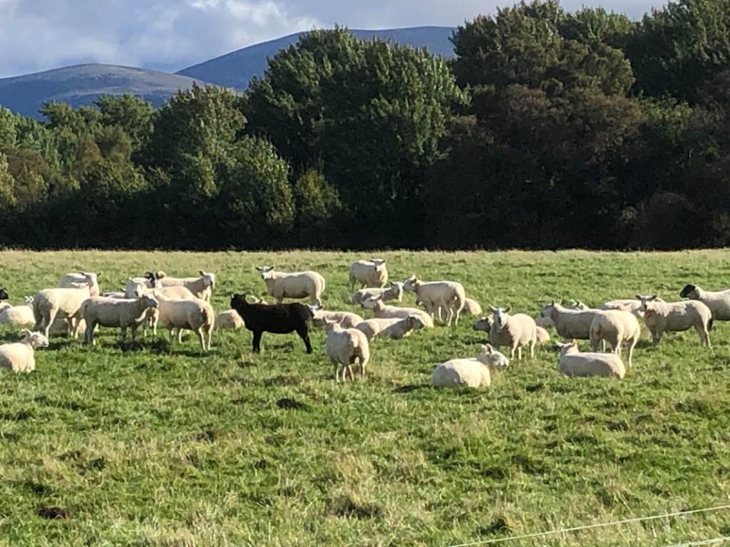 Land’s End to John O’Groats 2021 – Day 26: Dalwhinnie to Tomatin, 76.3k, 691m&nbsp;climbed