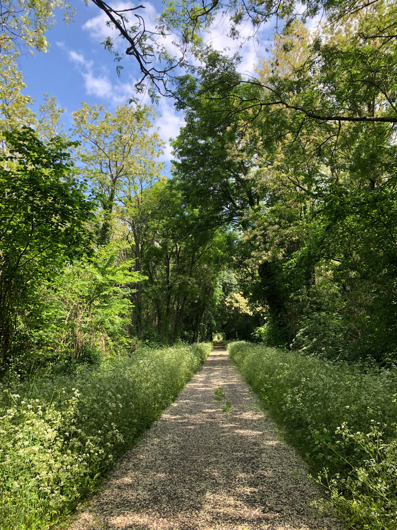 France, Belgium, NL End to End 2023 – Day 8: Guîtres to Angoulême – 99.3k, 1,212m&nbsp;climbed
