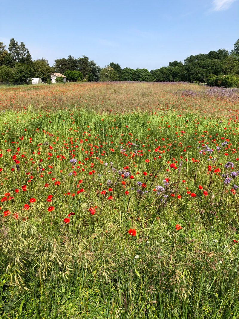 France, Belgium, NL End to End 2023 – Day 10: Pressac to Chatellerault- 99.3k, 775m&nbsp;climbed