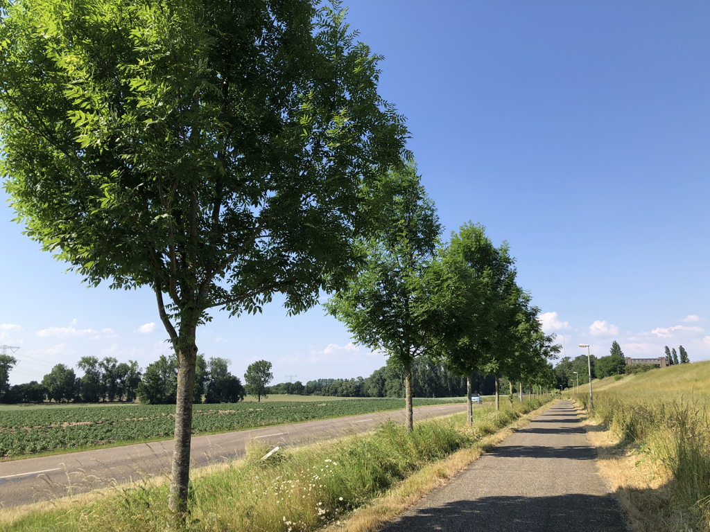 France, Belgium, NL End to End 2023 – Day 25 (part 2): Maastricht to Ohé en Laak – 53.3k, 429m&nbsp;climbed