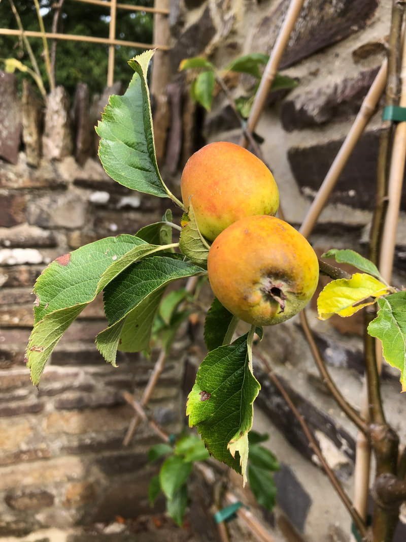 Land’s End to John O’Groats 2021 – Day 7: Rest Day&nbsp;reflections