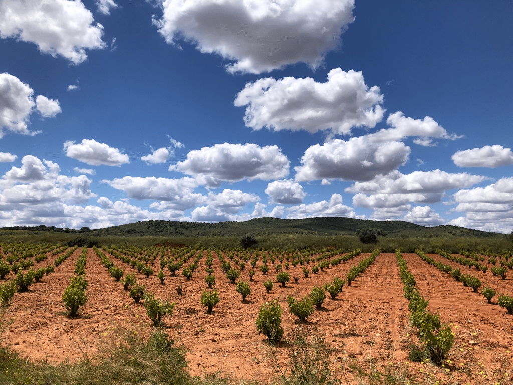Mérida to Zafra, 63.7k, 586m&nbsp;climbed