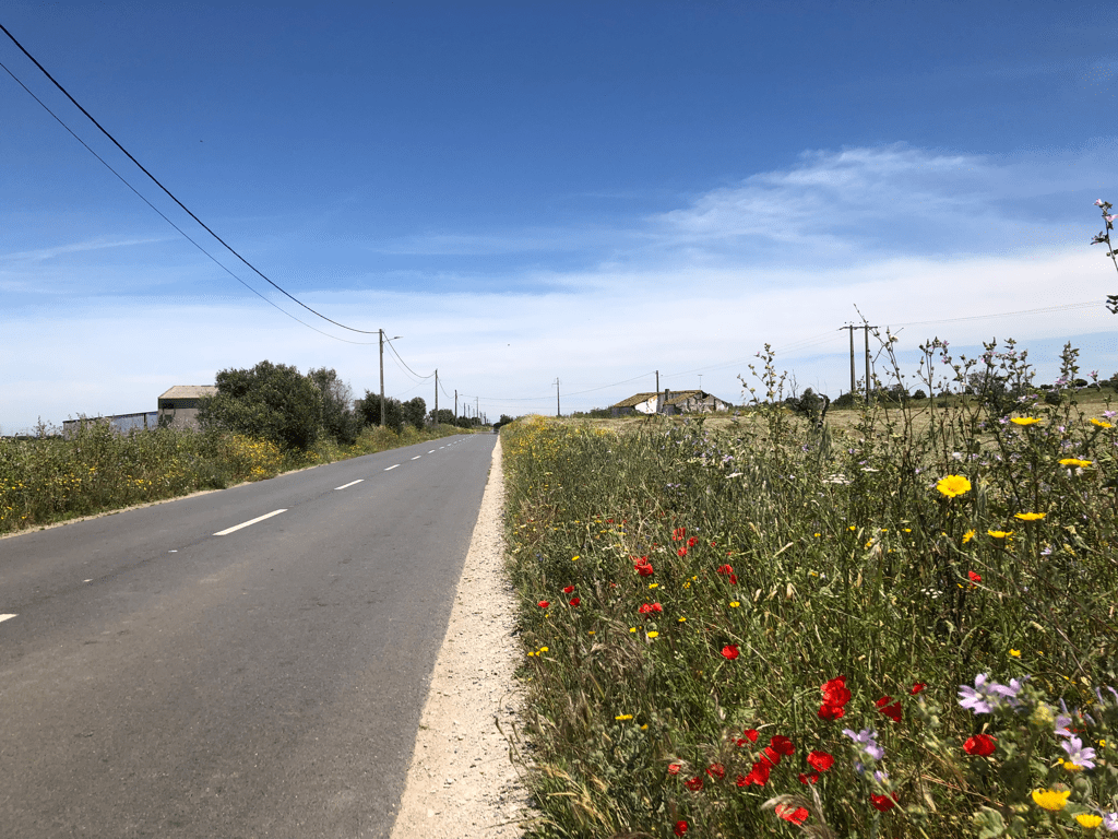 Almodôvar to Ferreira do Alentejo – 67.9k, 422m&nbsp;climbed