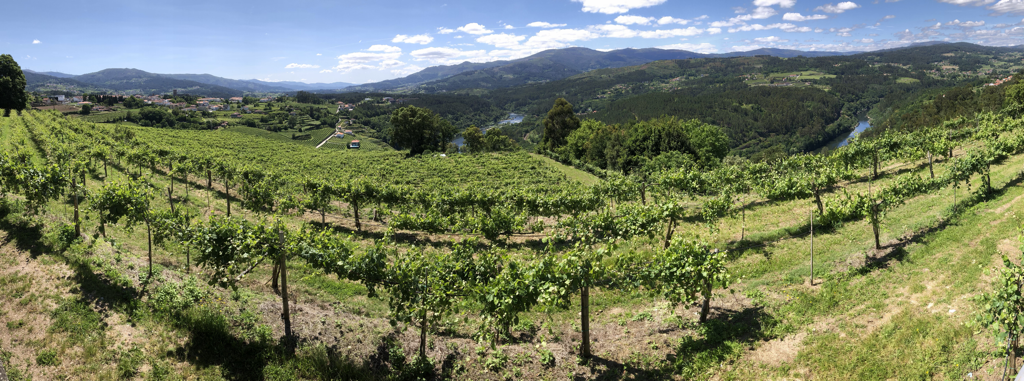 Valença to Cevide – 51.2k, 548m&nbsp;climbed