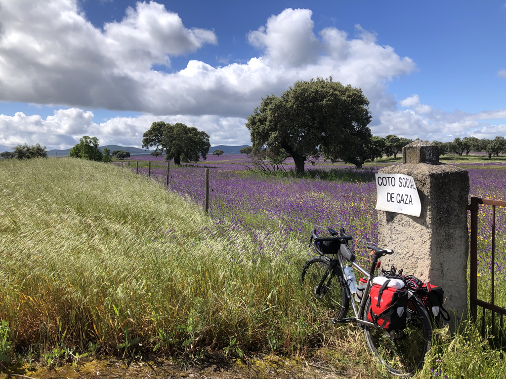 Cáceres to Mérida, 73.4k, 517m&nbsp;climbed